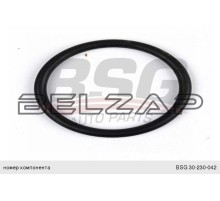Кольцо уплотнительное FORD Transit корпуса термостата, BSG30230042, BSG